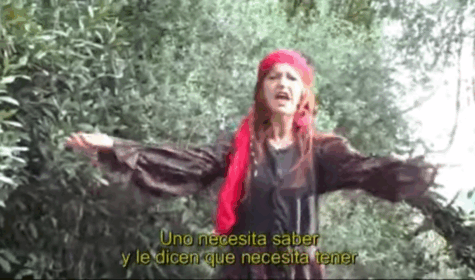 antisistema